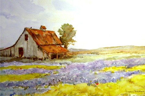 Barn and Bluebonnets/SOLD