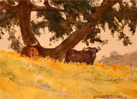 Bulls under a tree