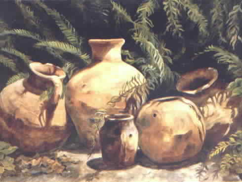 Pots and Ferns